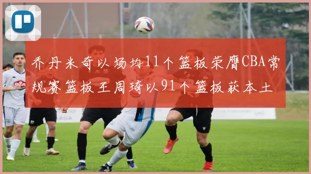 乔丹米奇以场均11个篮板荣膺CBA常规赛篮板王周琦以91个篮板获本土篮板王称号
