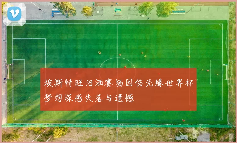 埃斯特旺泪洒赛场因伤无缘世界杯梦想深感失落与遗憾